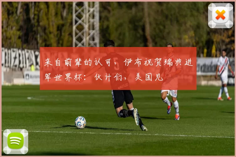 来自前辈的认可,伊布祝贺瑞典进军世界杯:伙计们,美国见