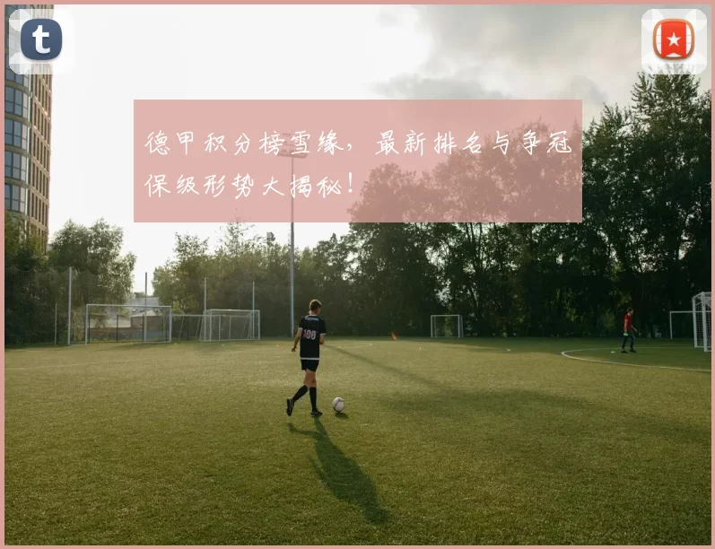 德甲积分榜雪缘,最新排名与争冠保级形势大揭秘!