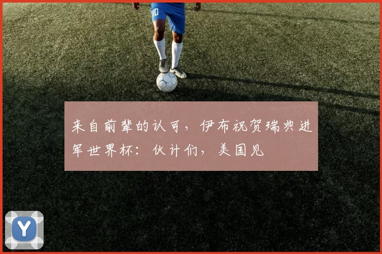 来自前辈的认可,伊布祝贺瑞典进军世界杯:伙计们,美国见