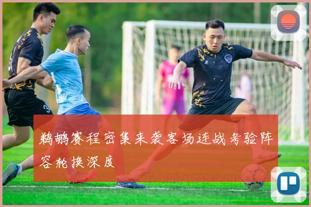 鹈鹕赛程密集来袭客场连战考验阵容轮换深度