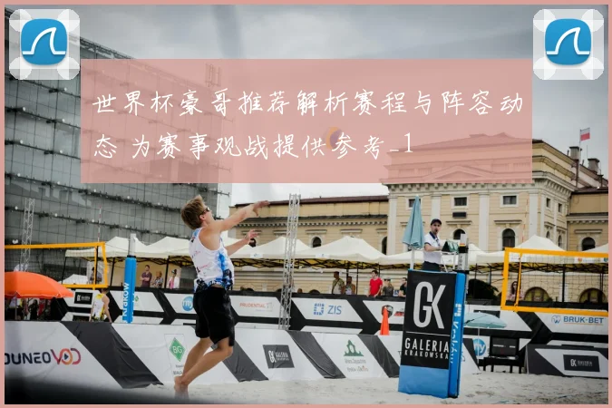 世界杯豪哥推荐解析赛程与阵容动态 为赛事观战提供参考_1