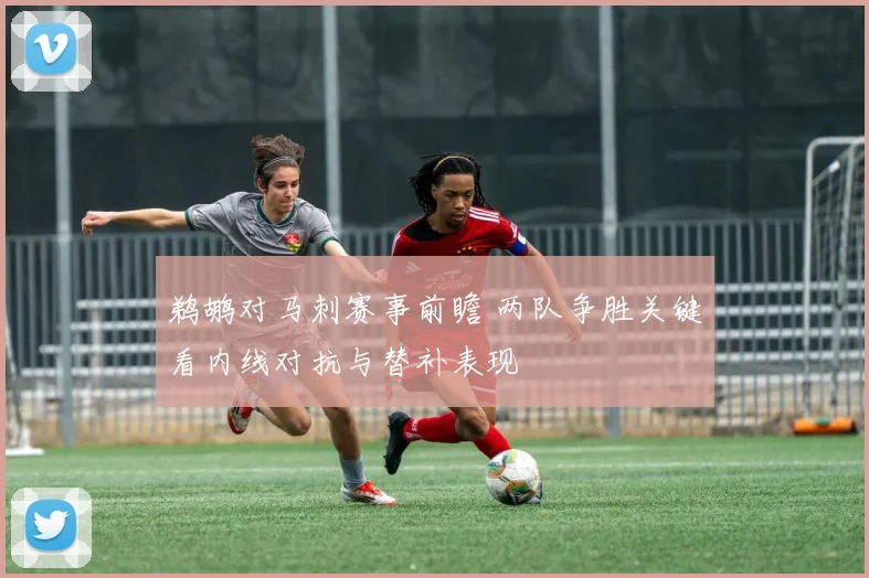 鹈鹕对马刺赛事前瞻 两队争胜关键看内线对抗与替补表现