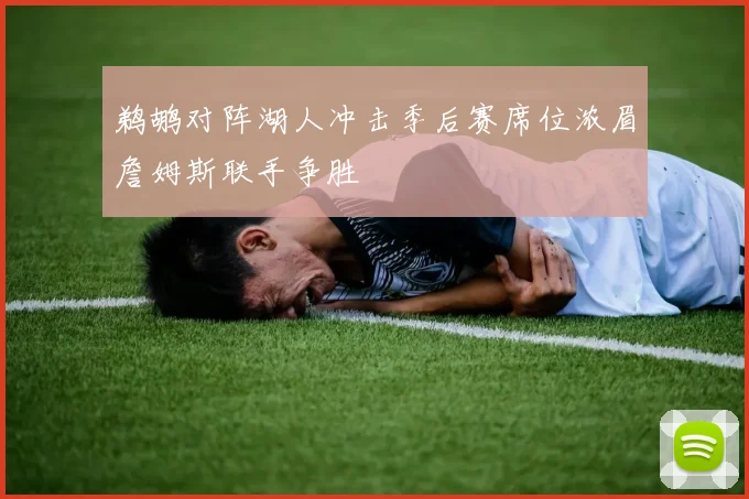 鹈鹕对阵湖人冲击季后赛席位浓眉詹姆斯联手争胜