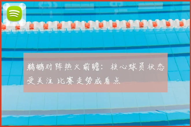鹈鹕对阵热火前瞻：核心球员状态受关注 比赛走势成看点