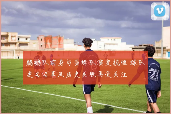 鹈鹕队前身与黄蜂队演变梳理 球队更名沿革及历史关联再受关注