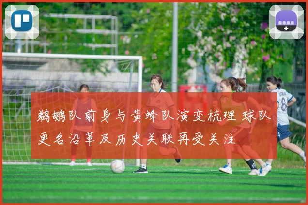 鹈鹕队前身与黄蜂队演变梳理 球队更名沿革及历史关联再受关注